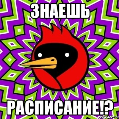 знаешь расписание!?, Мем Омская птица