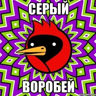 серый воробей, Мем Омская птица