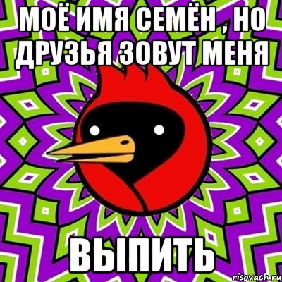 моё имя семён , но друзья зовут меня выпить, Мем Омская птица