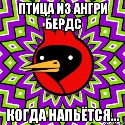 птица из ангри бердс когда напьётся..., Мем Омская птица