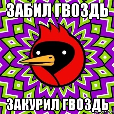 забил гвоздь закурил гвоздь, Мем Омская птица