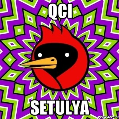 qci setulya, Мем Омская птица