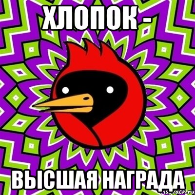 хлопок - высшая награда, Мем Омская птица
