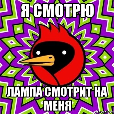 я смотрю лампа смотрит на меня, Мем Омская птица