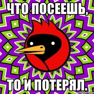 что посеешь, то и потерял., Мем Омская птица