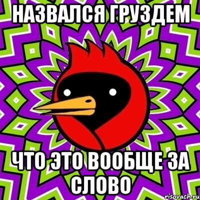 назвался груздем что это вообще за слово, Мем Омская птица