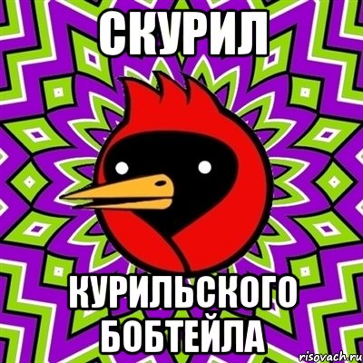 скурил курильского бобтейла, Мем Омская птица