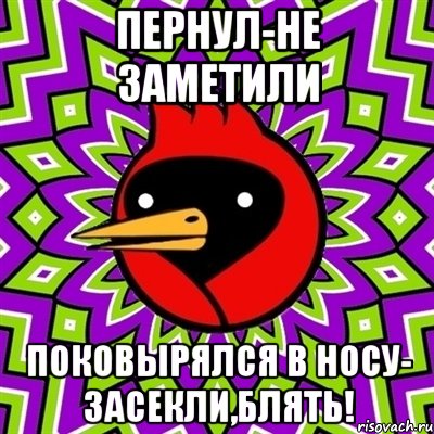 пернул-не заметили поковырялся в носу- засекли,блять!, Мем Омская птица