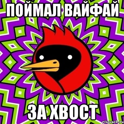 поймал вайфай за хвост, Мем Омская птица