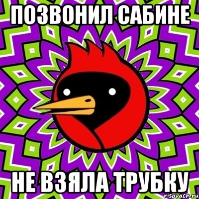 позвонил сабине не взяла трубку, Мем Омская птица