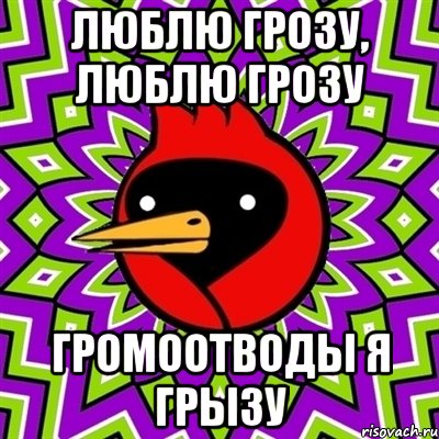 люблю грозу, люблю грозу громоотводы я грызу, Мем Омская птица