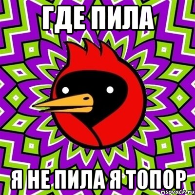 где пила я не пила я топор, Мем Омская птица