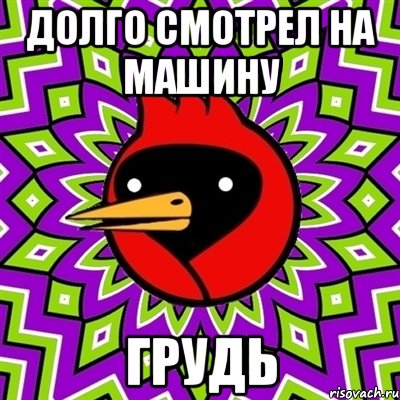 долго смотрел на машину грудь, Мем Омская птица