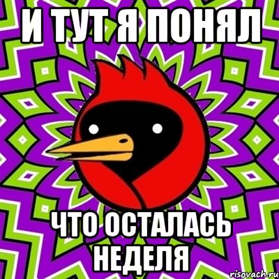 и тут я понял что осталась неделя, Мем Омская птица