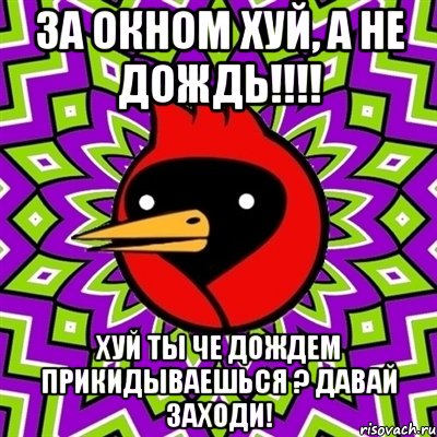 за окном хуй, а не дождь!!! хуй ты че дождем прикидываешься ? давай заходи!, Мем Омская птица