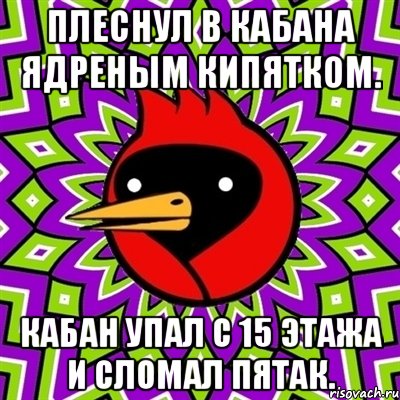 плеснул в кабана ядреным кипятком. кабан упал с 15 этажа и сломал пятак., Мем Омская птица