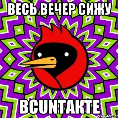 весь вечер сижу вcuntакте, Мем Омская птица