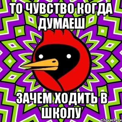 то чувство когда думаеш зачем ходить в школу, Мем Омская птица