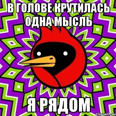в голове крутилась одна мысль я рядом, Мем Омская птица