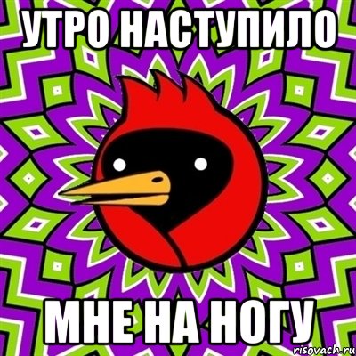 утро наступило мне на ногу, Мем Омская птица