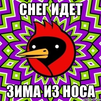 снег идет зима из носа, Мем Омская птица