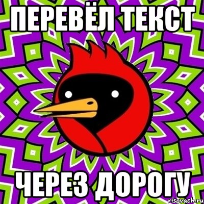 перевёл текст через дорогу, Мем Омская птица