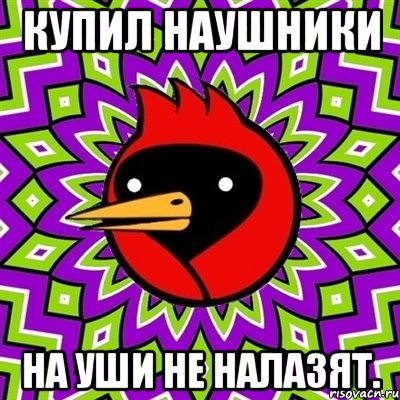 купил наушники на уши не налазят., Мем Омская птица