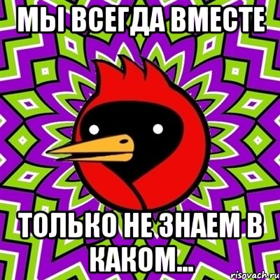 мы всегда вместе только не знаем в каком..., Мем Омская птица