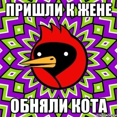 пришли к жене обняли кота, Мем Омская птица