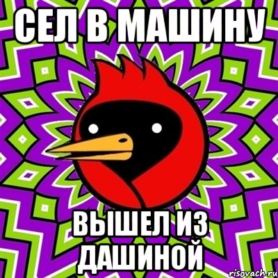 сел в машину вышел из дашиной, Мем Омская птица