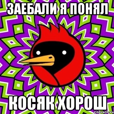 заебали я понял косяк хорош, Мем Омская птица