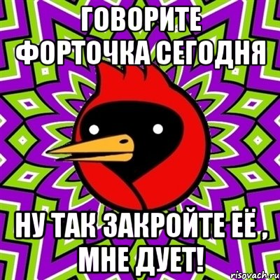 говорите форточка сегодня ну так закройте её , мне дует!, Мем Омская птица