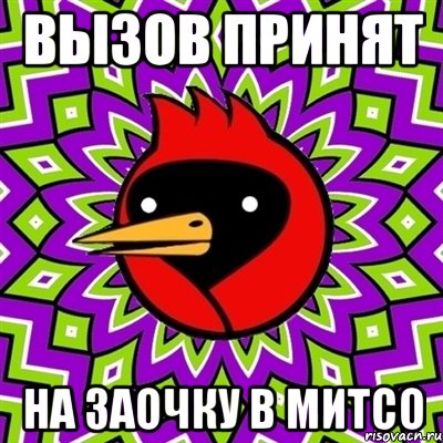 вызов принят на заочку в митсо, Мем Омская птица