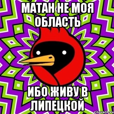 матан не моя область ибо живу в липецкой, Мем Омская птица