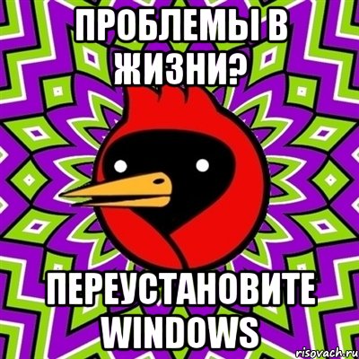 проблемы в жизни? переустановите windows, Мем Омская птица