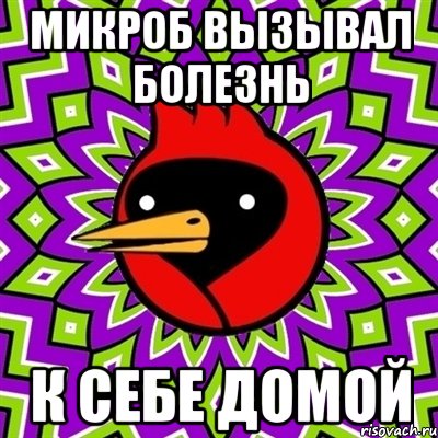 микроб вызывал болезнь к себе домой, Мем Омская птица
