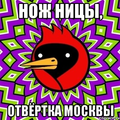 нож ницы, отвёртка москвы, Мем Омская птица