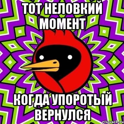 тот неловкий момент когда упоротый вернулся, Мем Омская птица