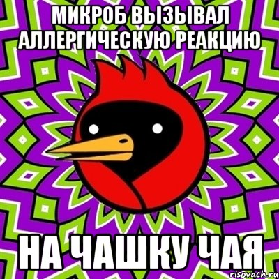 микроб вызывал аллергическую реакцию на чашку чая, Мем Омская птица
