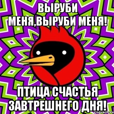 выруби меня,выруби меня! птица счастья завтрешнего дня!, Мем Омская птица