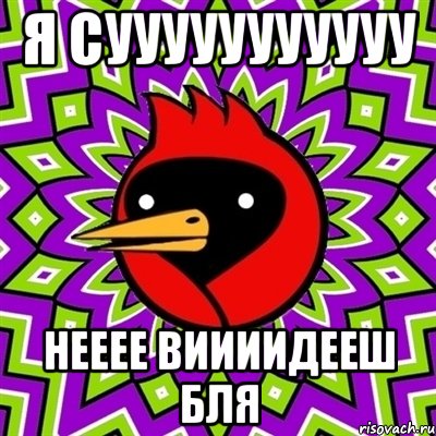 я сууууууууууу нееее виииидееш бля, Мем Омская птица