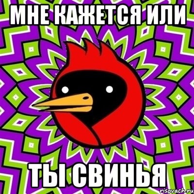 мне кажется или ты свинья, Мем Омская птица