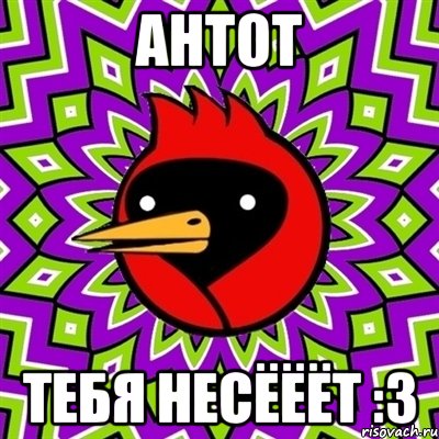 антот тебя несёёёт :3, Мем Омская птица