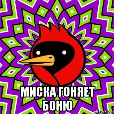  миска гоняет боню, Мем Омская птица
