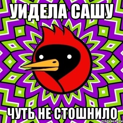 уидела сашу чуть не стошнило, Мем Омская птица