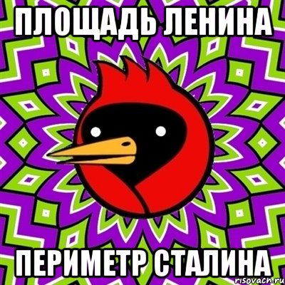 площадь ленина периметр сталина, Мем Омская птица