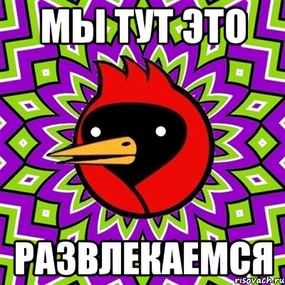 мы тут это развлекаемся, Мем Омская птица