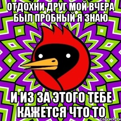 отдохни друг мой вчера был пробный я знаю и из за этого тебе кажется что то, Мем Омская птица
