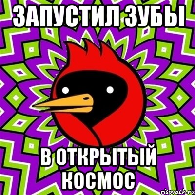 запустил зубы в открытый космос, Мем Омская птица