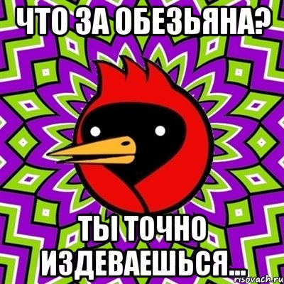 что за обезьяна? ты точно издеваешься..., Мем Омская птица